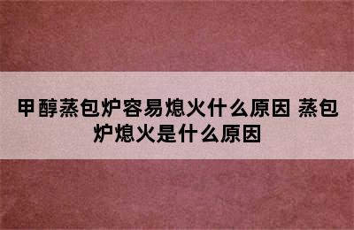 甲醇蒸包炉容易熄火什么原因 蒸包炉熄火是什么原因